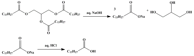 sintesi acido miristico