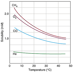 curva di solubilità dei gas