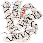 proteine struttura terziaria