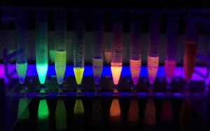 fluorescenza-chimicamo