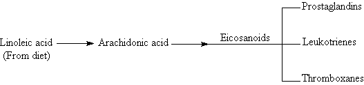 acido arachidonico
