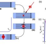 rivelatori superconduttori di singolo fotone 1 da Chimicamo