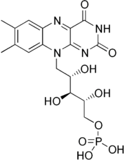 struttura Flavina mononucleotide