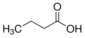 acido butanoico-chimicamo
