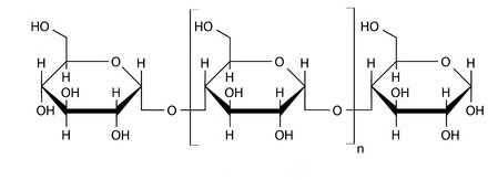 struttura amilosio-chimicamo