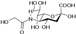 acido N glicolilneuramminico