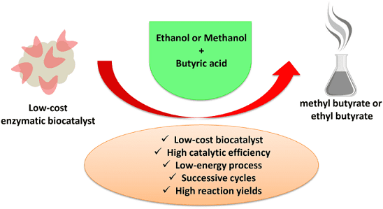 sintesi enzimatica