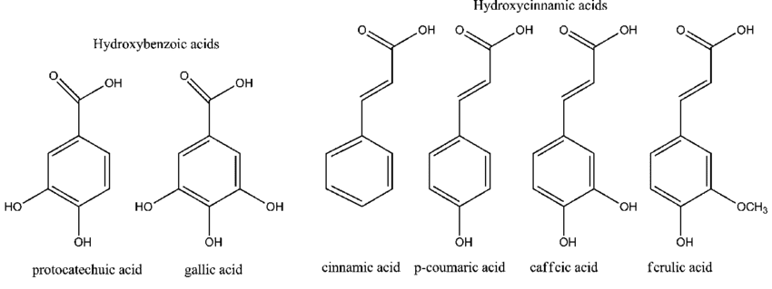 esempi di acidi fenolici