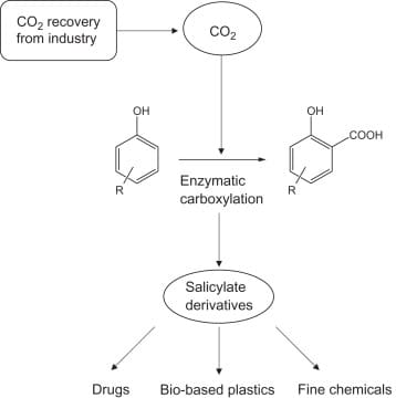 reazione enzimatica